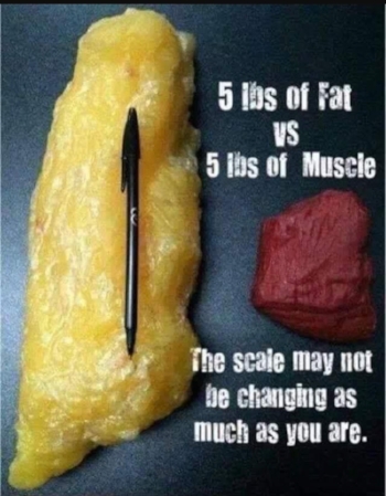 THIS IS NOT A REPLICA OF 5lbs of FAT vs 5lbs of MUSCLES! IDIOTS!!!!!!!