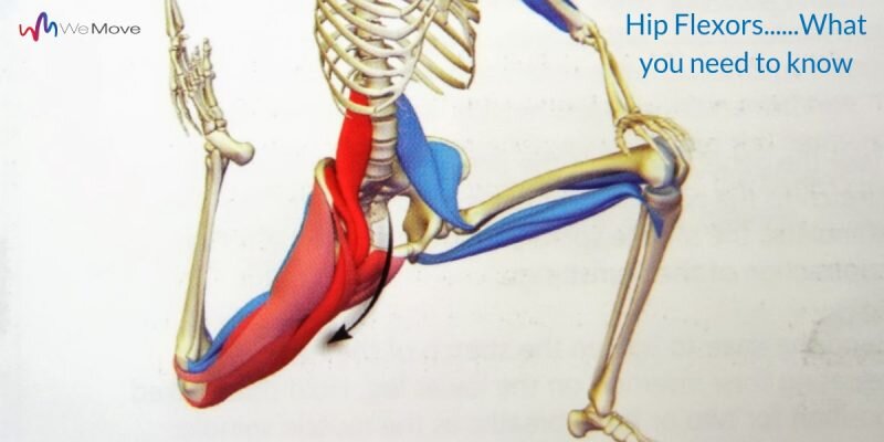 Learn why this is a terrible stretch for the hip flexors by understanding anatomy of the rectus femoris & psoas major.