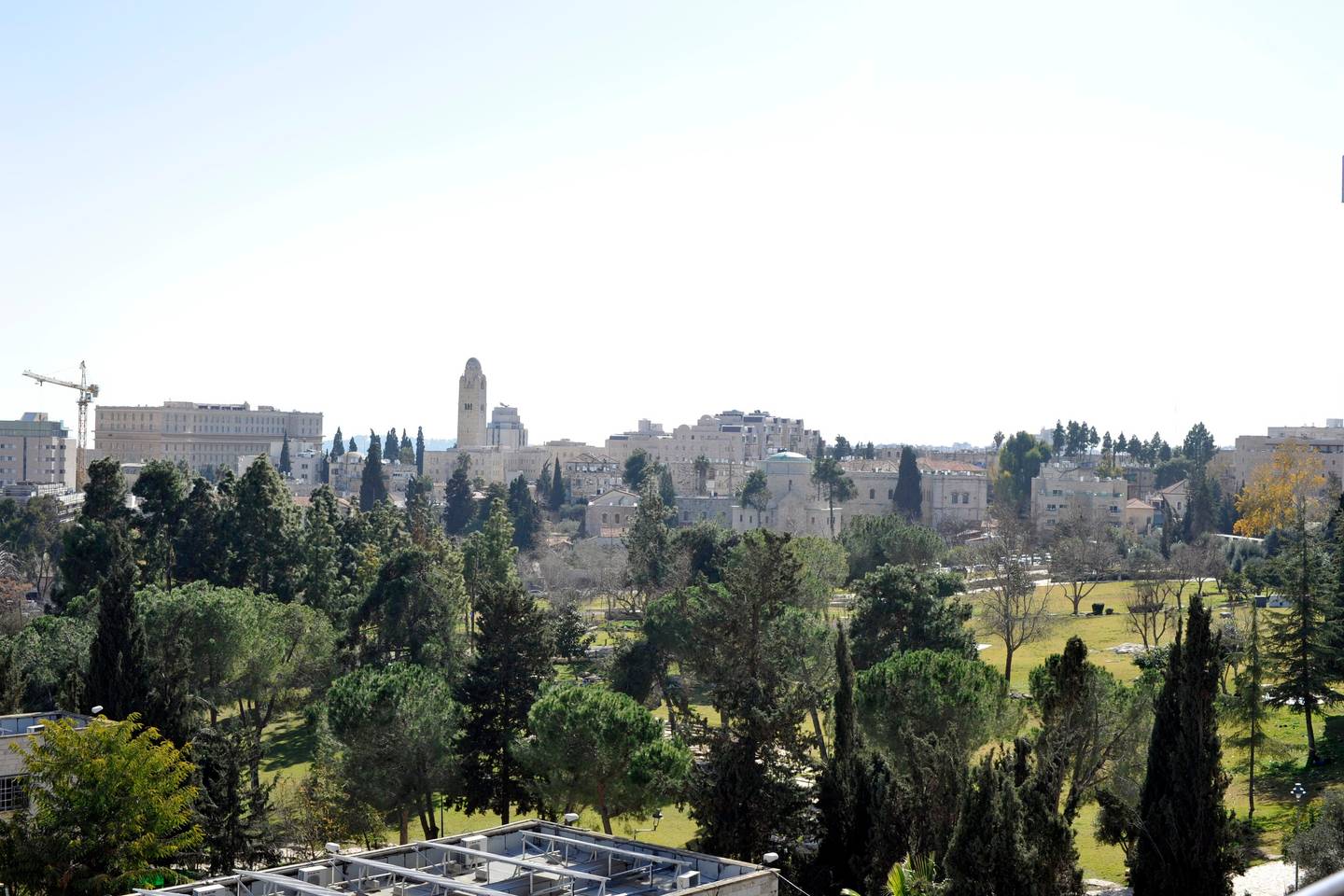 7b.jpg