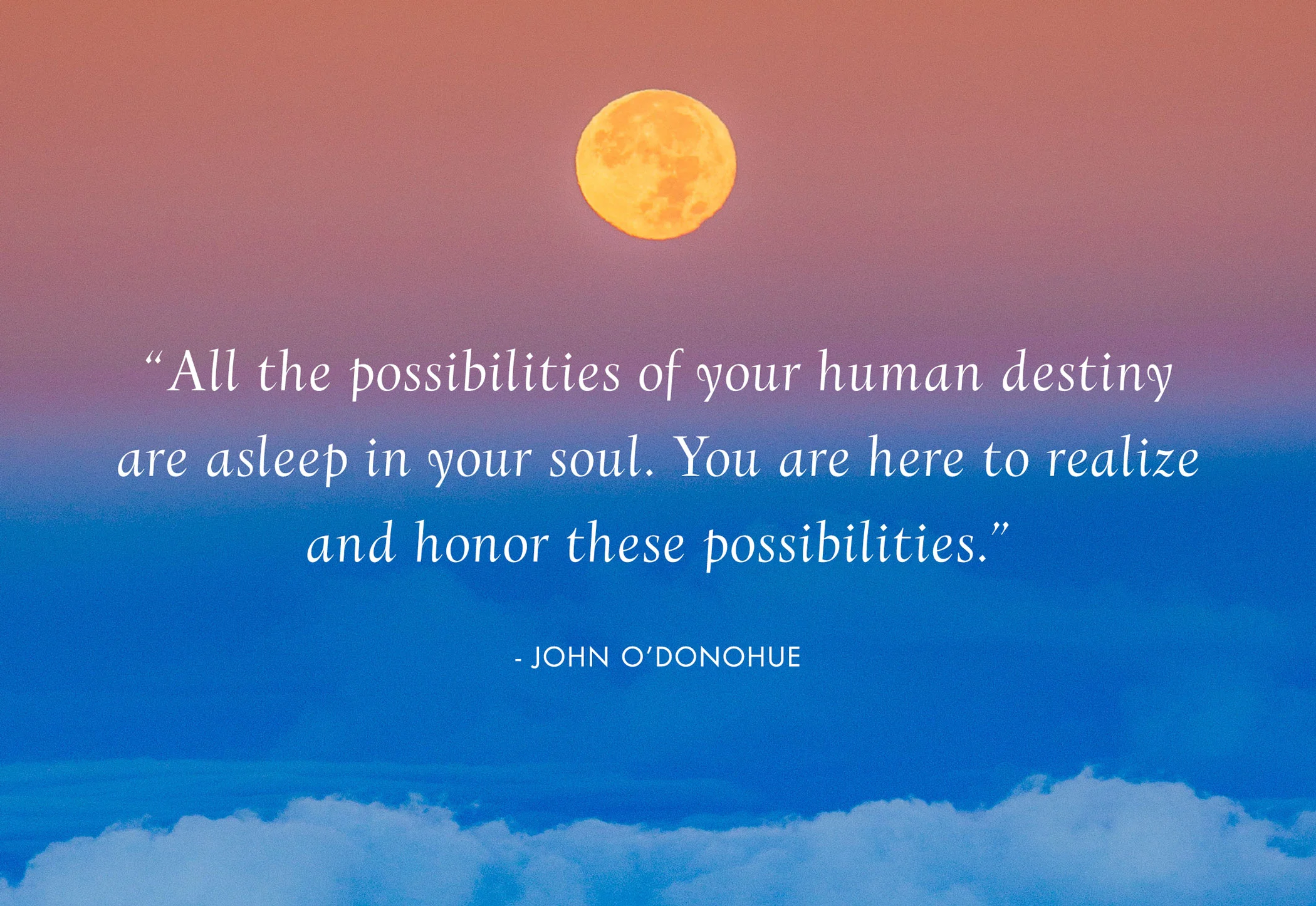Contact-Lynne-Hutchinson-Stepping-Into-Possibility-Holistic-Life-and-Leadership-Coach-2019.jpg