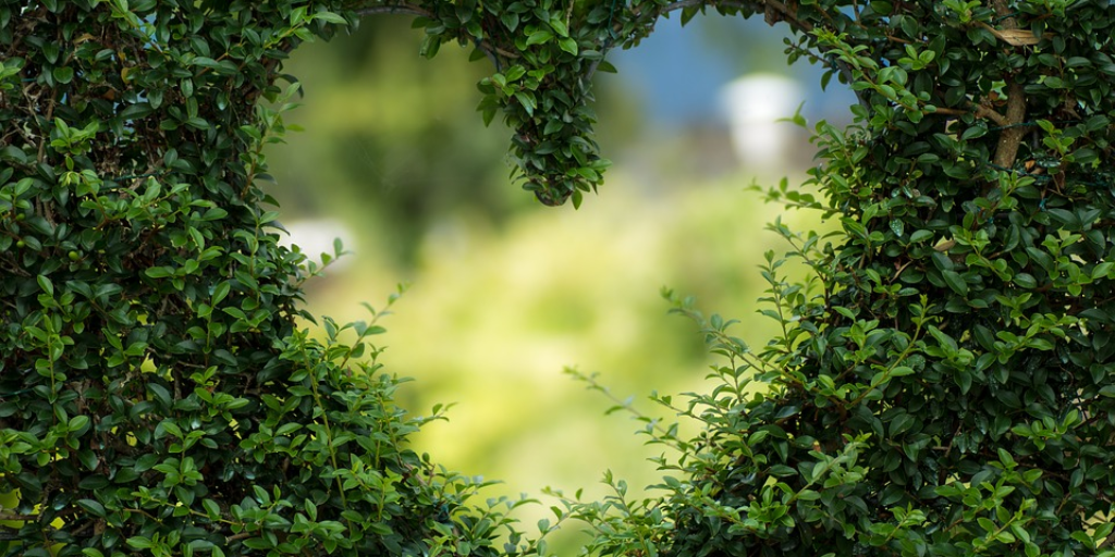green heart rectangle.png