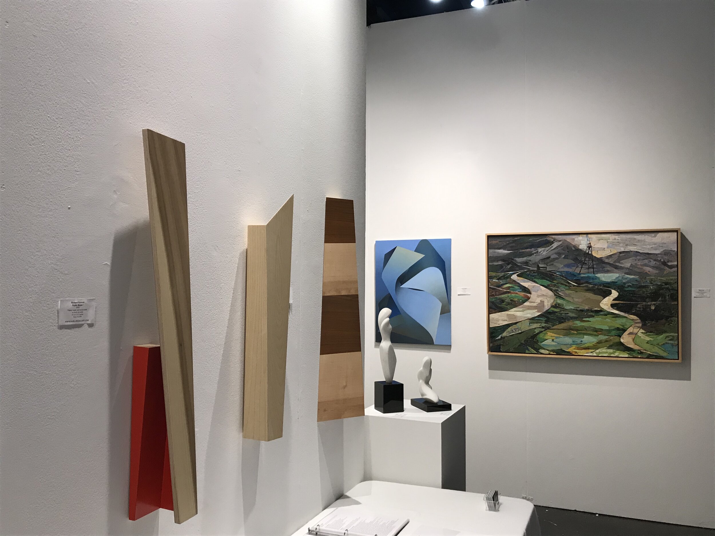 Texas Contemporary 2019 -  Bottwin, Lustig, Noel, Tokmakova 2.JPG