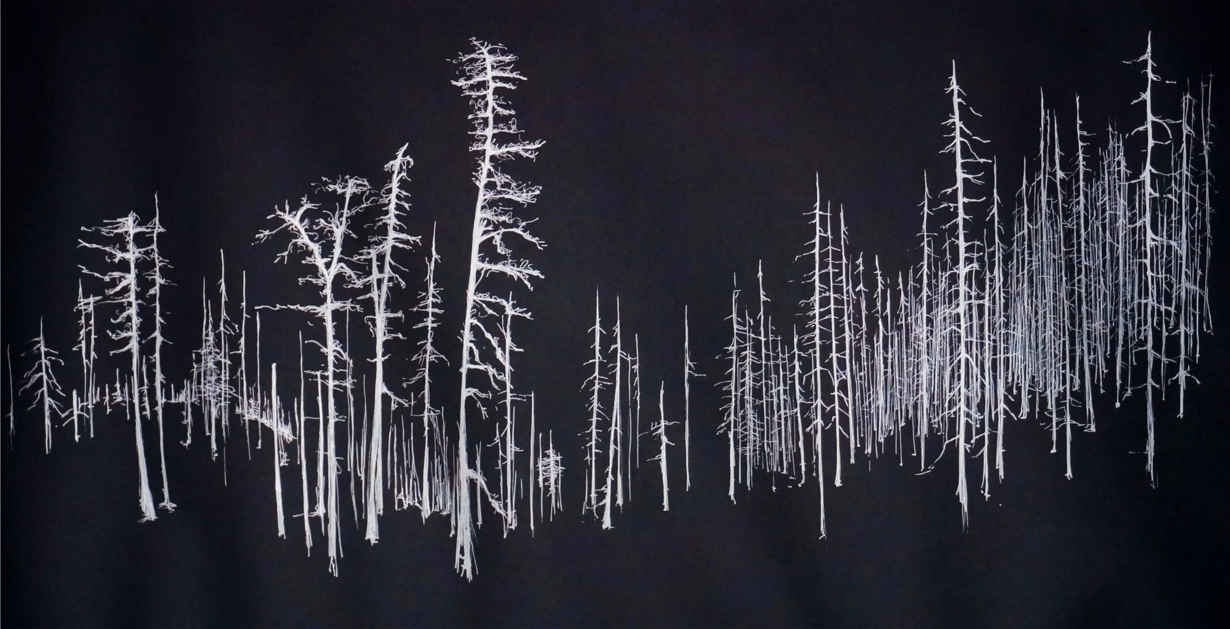 Sea of Trees
