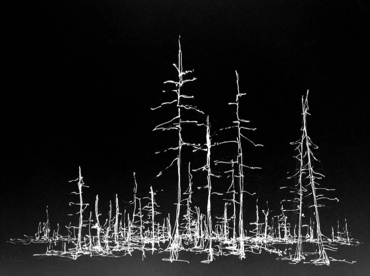 Cinders/Trees, Oregon 1 