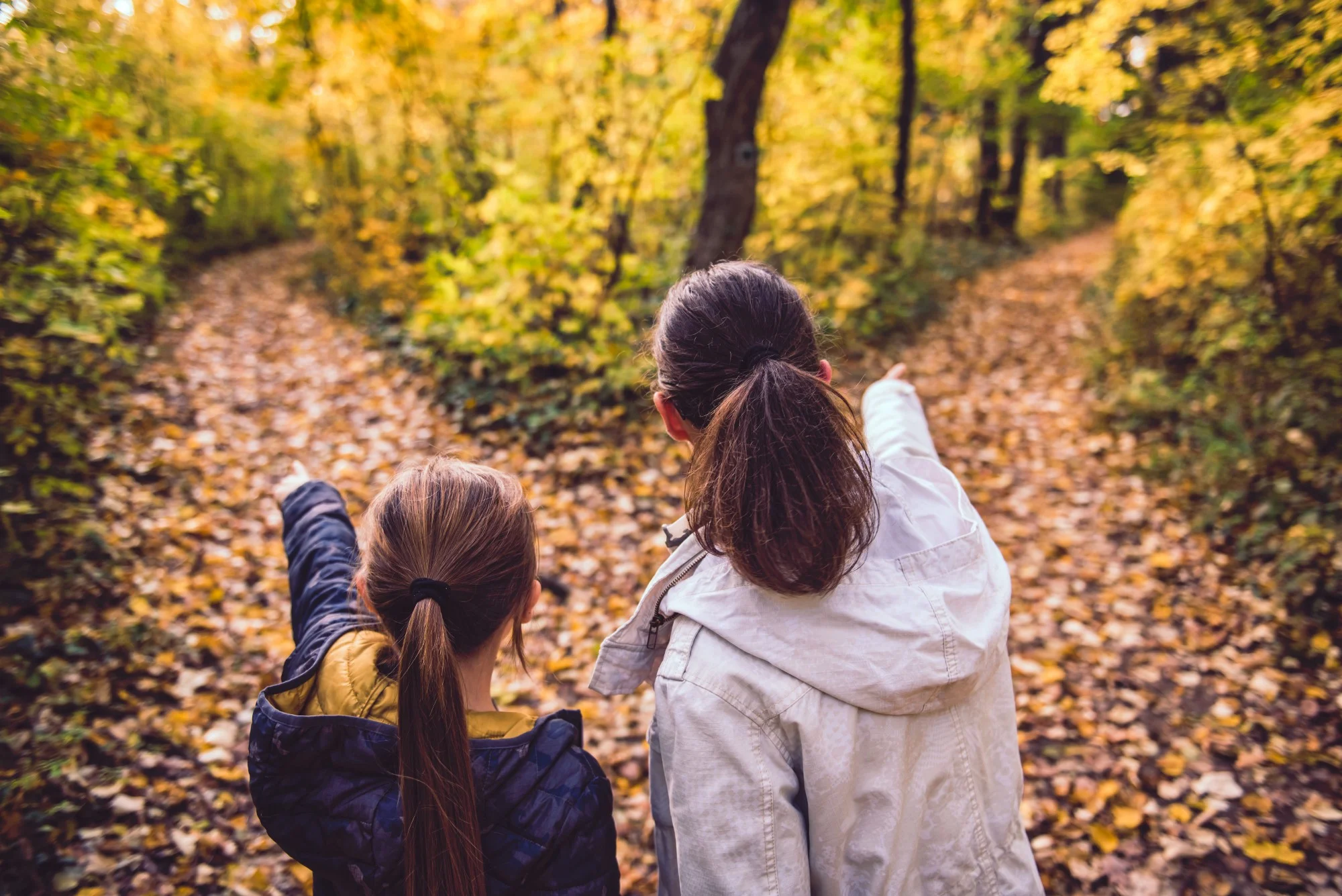 Local Matters at election time