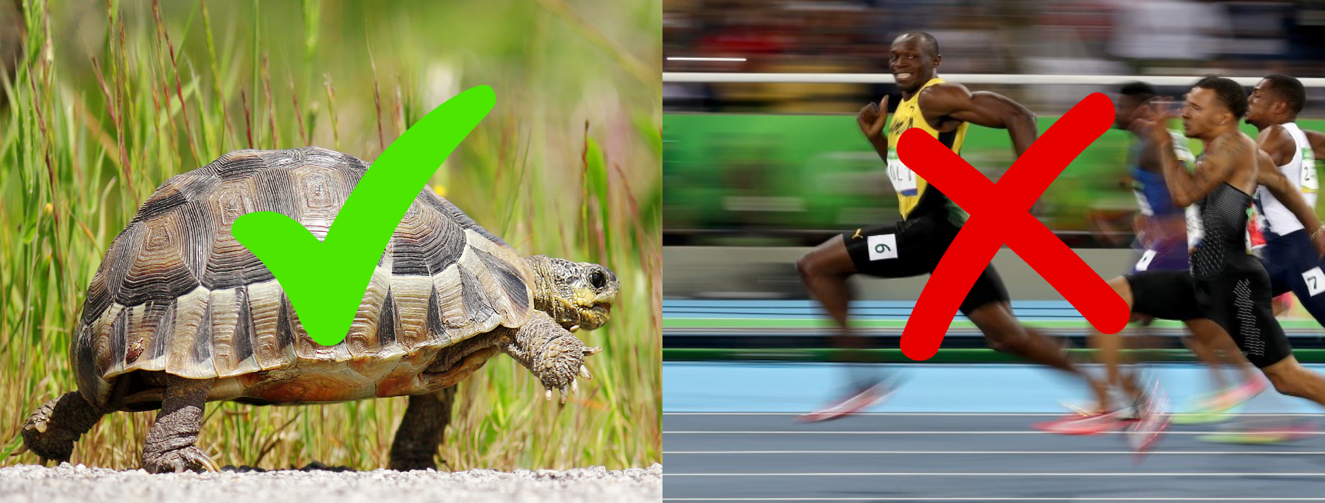 Others help you run better (literally)