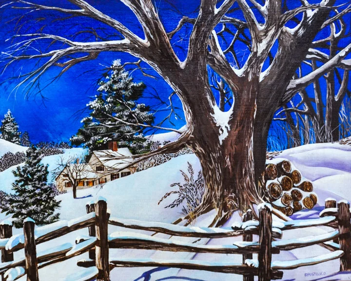“Blanket” acrylic