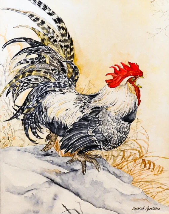 “Feathers” watercolor