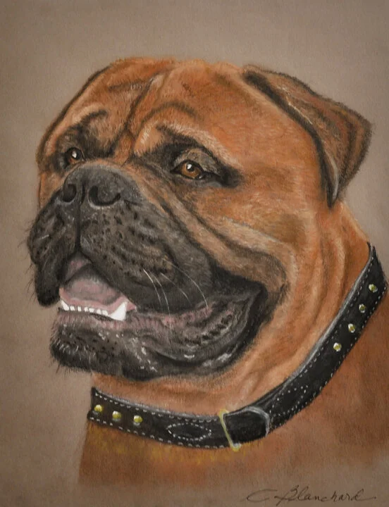 Cindy Blanchard “Atlas, Gentle Giant” pastel