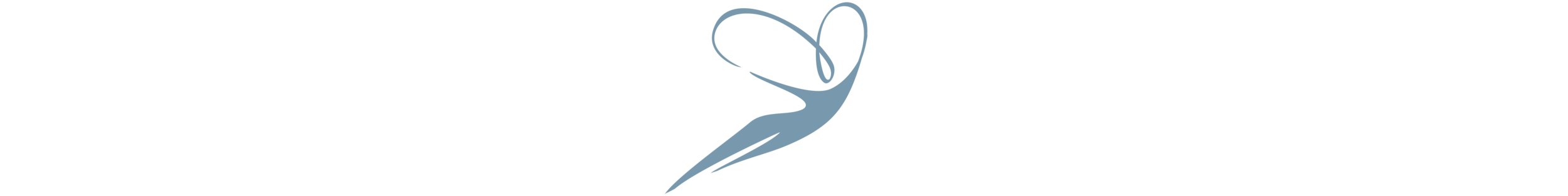 tiny icon blue-01-01-01-01-01.png