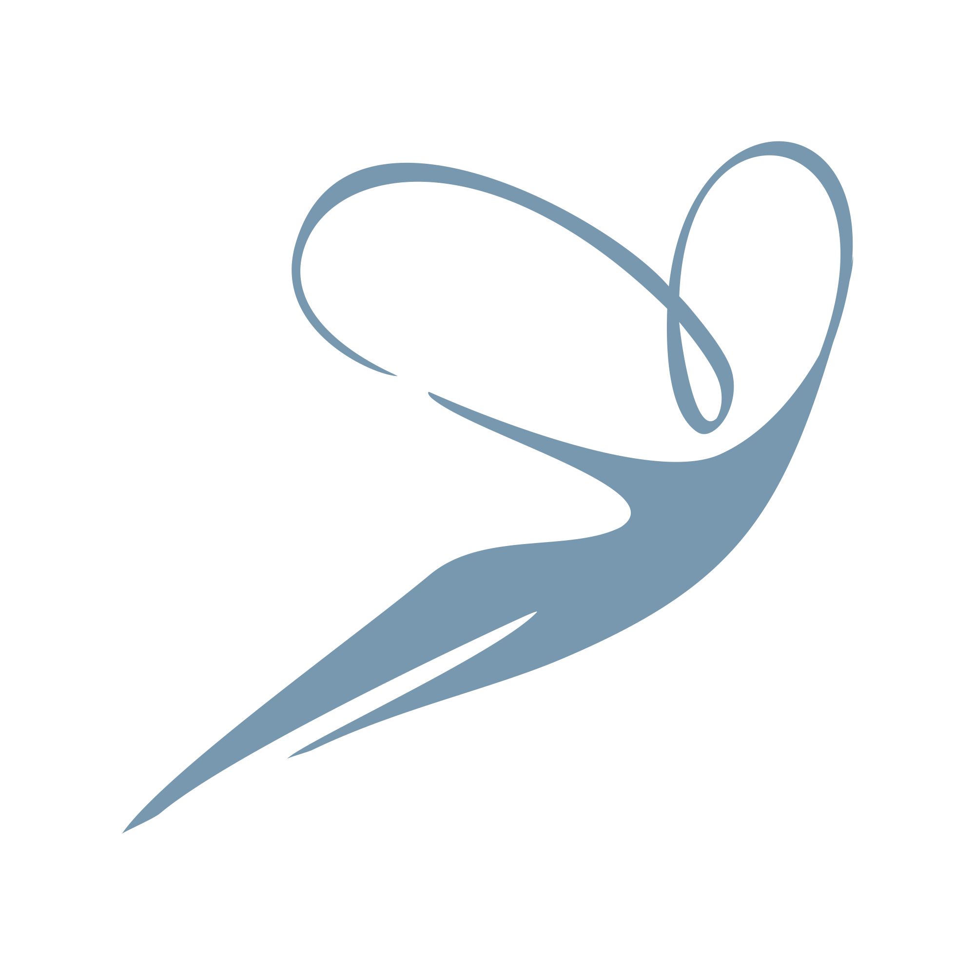 VITA LIFE MD LOGO #04.jpg