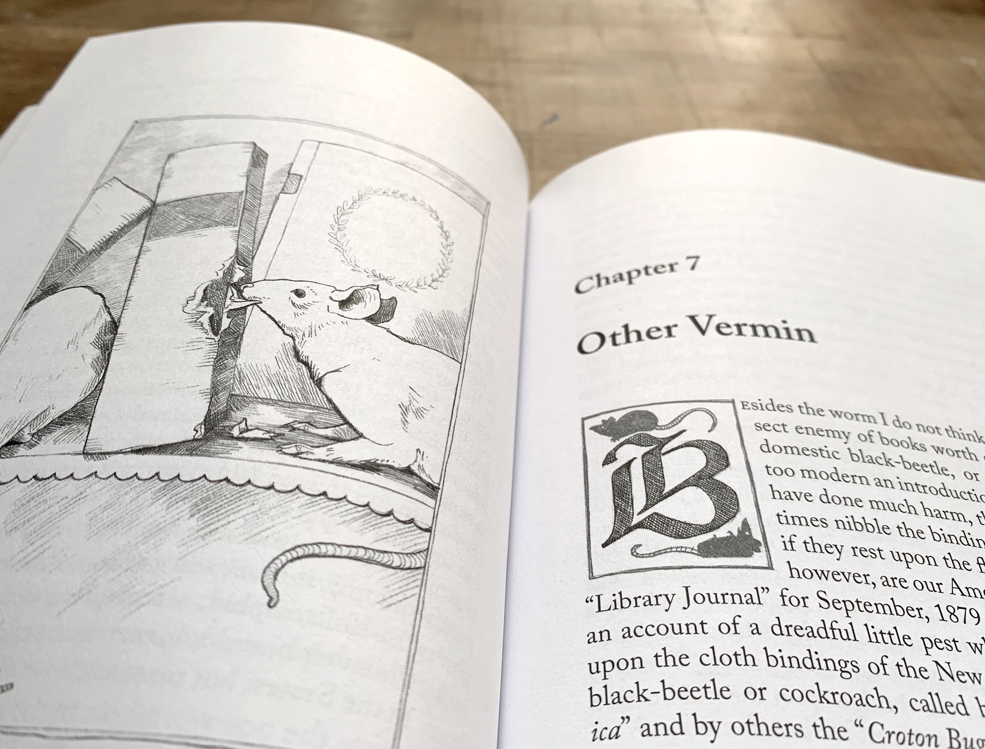 Enemiesofbooks5.png