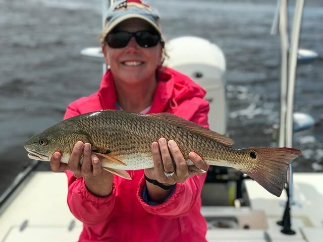 Fun day of redfish, black drum and speckled trout!
.
.
.
.
.
#redfish #reddrum #drumspots #ncfishing #northcarolina #outdoors