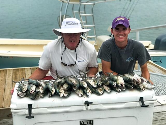 Our @ncsinkers casting jigs made quick work of the Spanish Mackerel this morning!
.
.
.
.
.
#spanishmackerel #mackeral #ncfishing #northcarolina #topsailisland #topsailnc #northcarolina