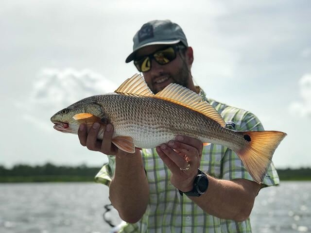 Fun afternoon scouting mission checking out some new water.  They were choking the spinner bait.  Broke off the biggest redfish I have hooked inshore in a long time!
.
.
.
.
.
#ncfishing #redfish #fishing