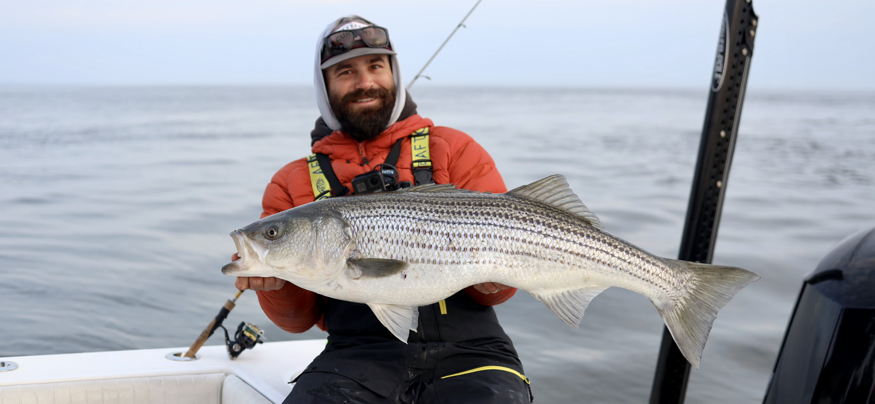 Fishing North Carolina and Virginia for Giant Striped Bass 