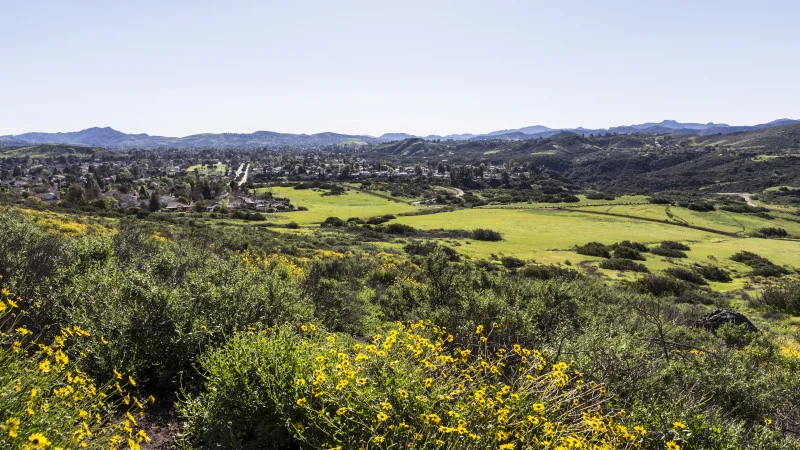 Thousand-Oaks-Image-800x450.jpg