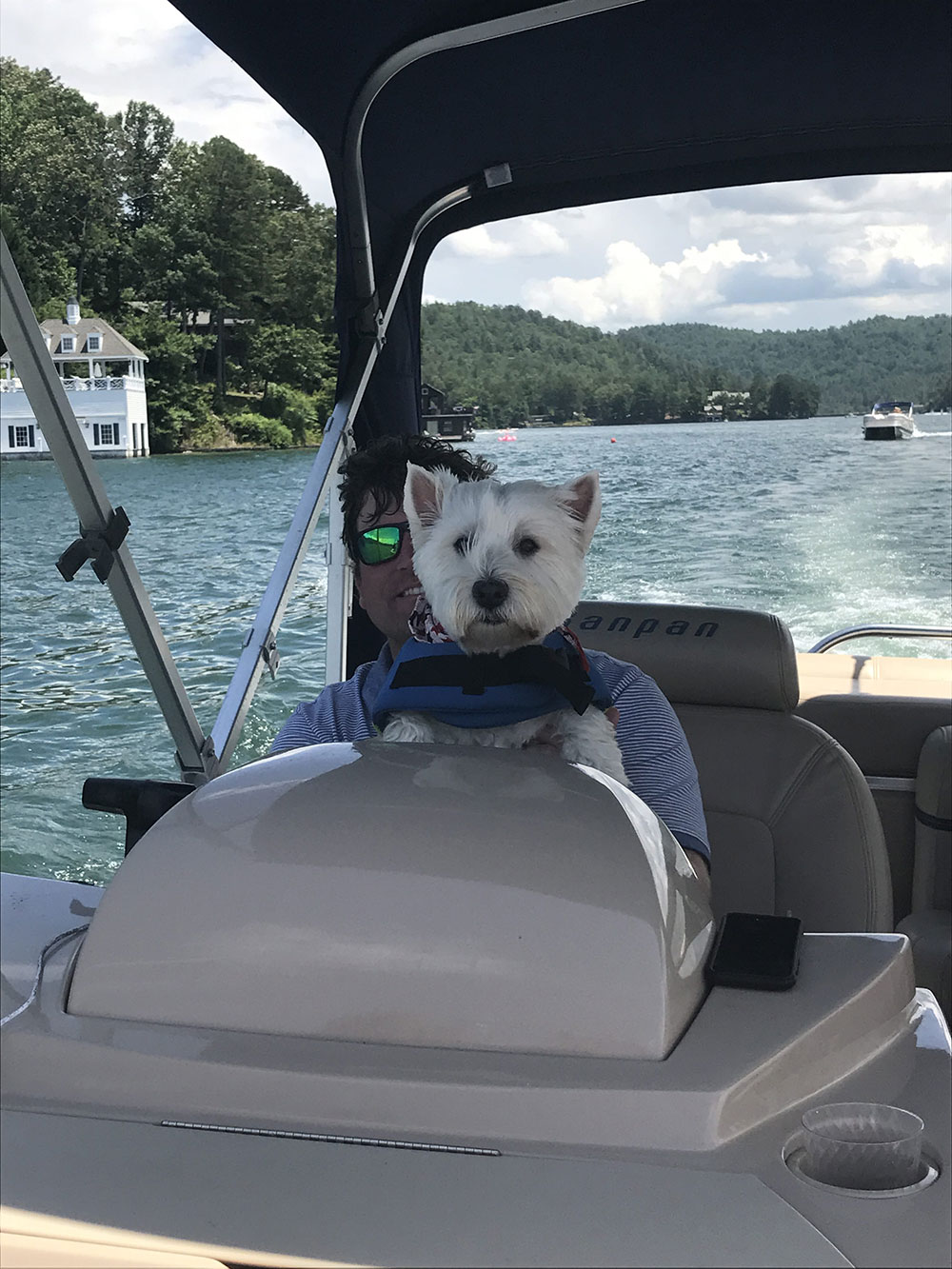 A happy dog rides along in the ski boat on Lake Rabun
