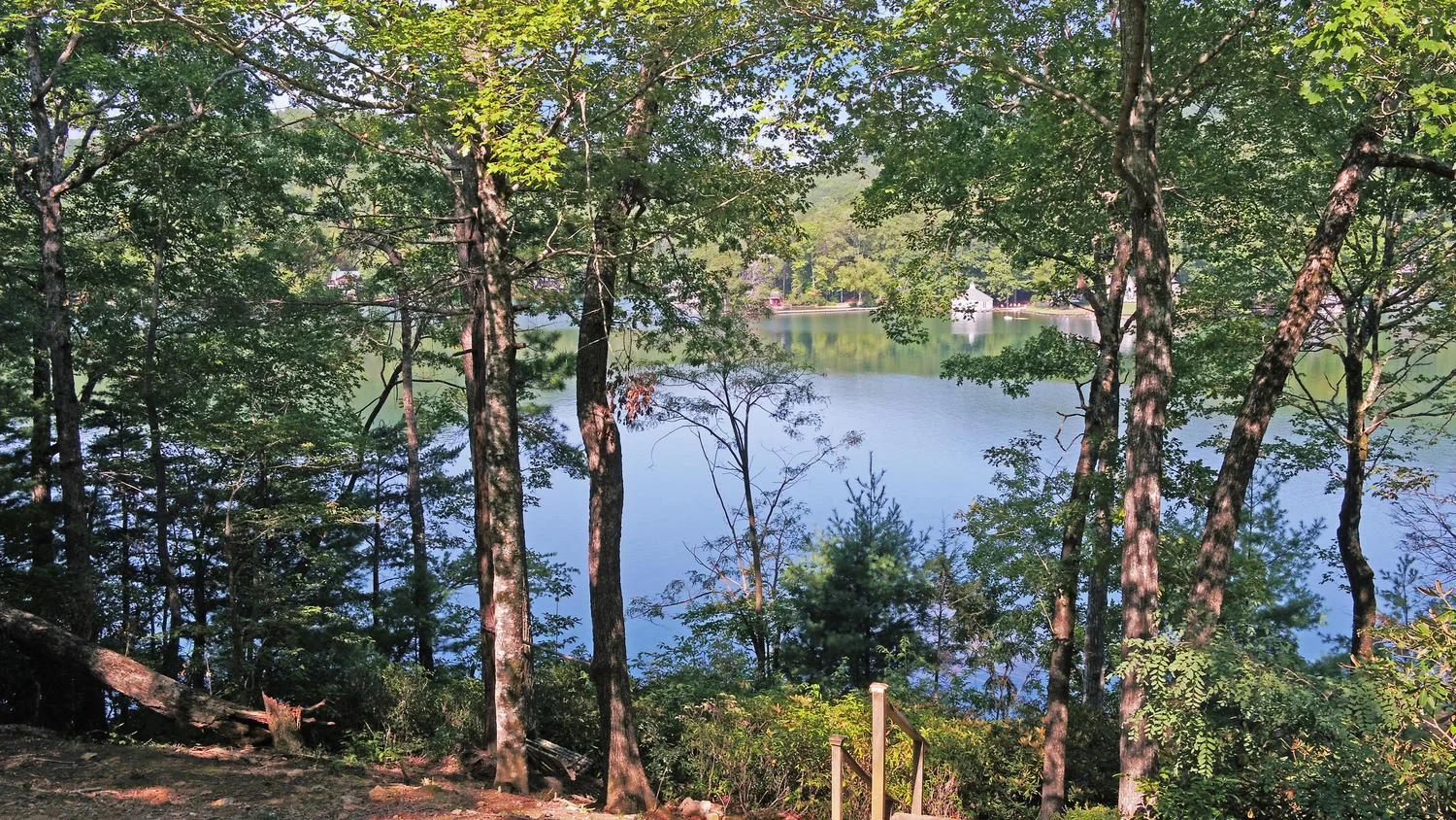 1928 Meetinghouse Mountain Rd-large-006-027-Aerial-1500x844-72dpi.jpg