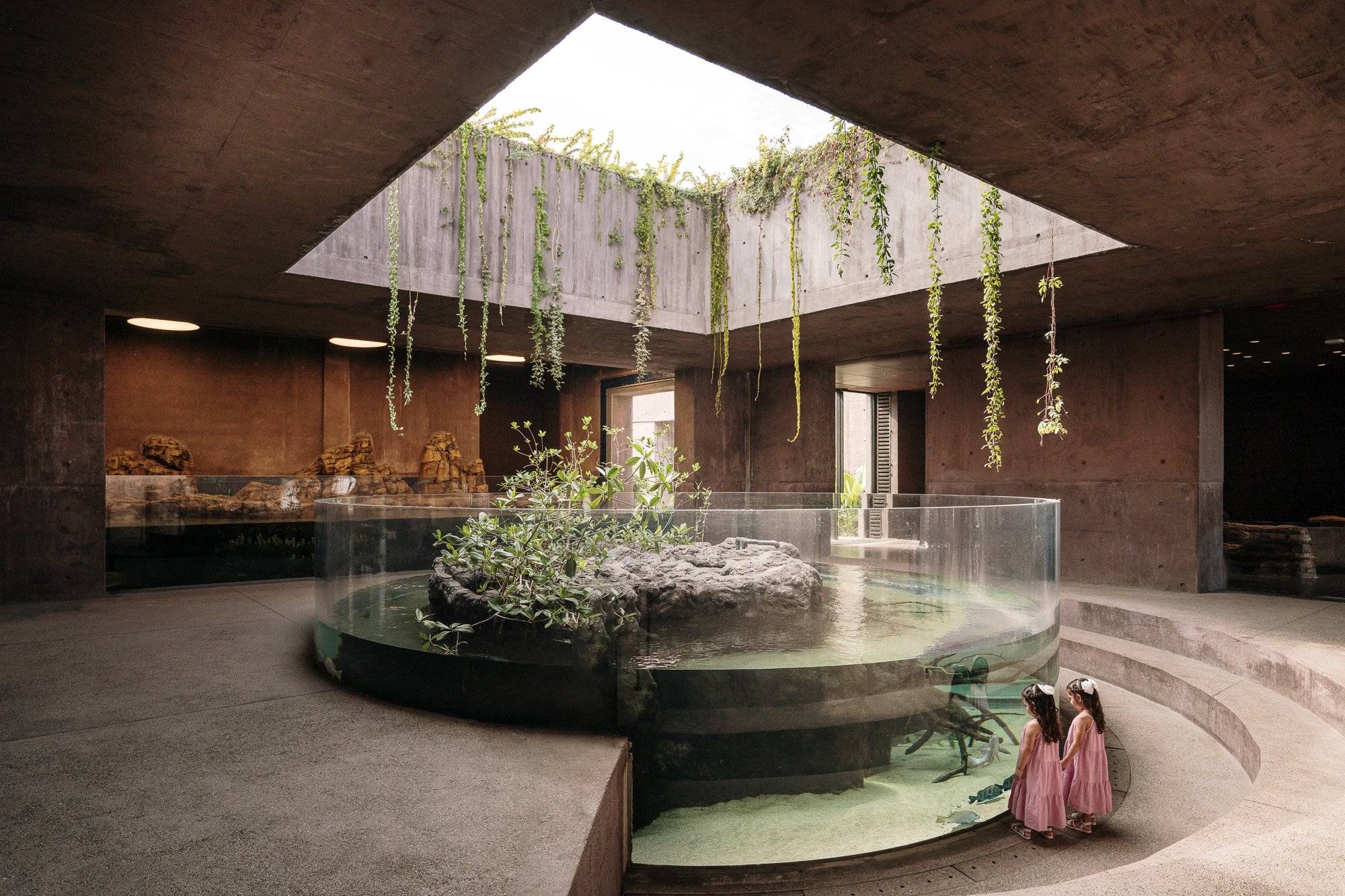  +   Mazatlán Aquarium   LOCATION - Mazatlán, Mexico    ARCHITECT - Tatiana Bilbao Estudio    LANDSCAPE ARCHITECT - Entorno    EXHIBIT DESIGN - Space Haus    Fotografía: Juan Manuel McGrath, IG:@jmphotography_mx 