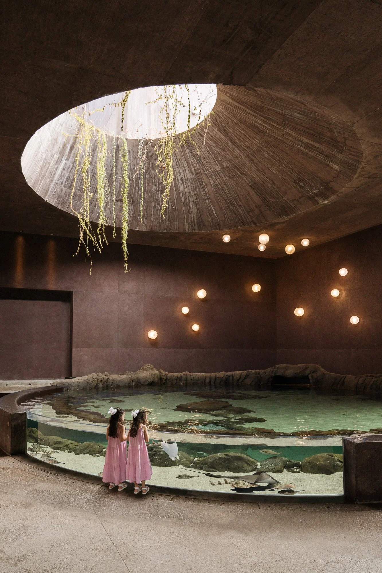  +   Mazatlán Aquarium   LOCATION - Mazatlán, Mexico    ARCHITECT - Tatiana Bilbao Estudio    LANDSCAPE ARCHITECT - Entorno    EXHIBIT DESIGN - Space Haus    Fotografía: Juan Manuel McGrath, IG:@jmphotography_mx 