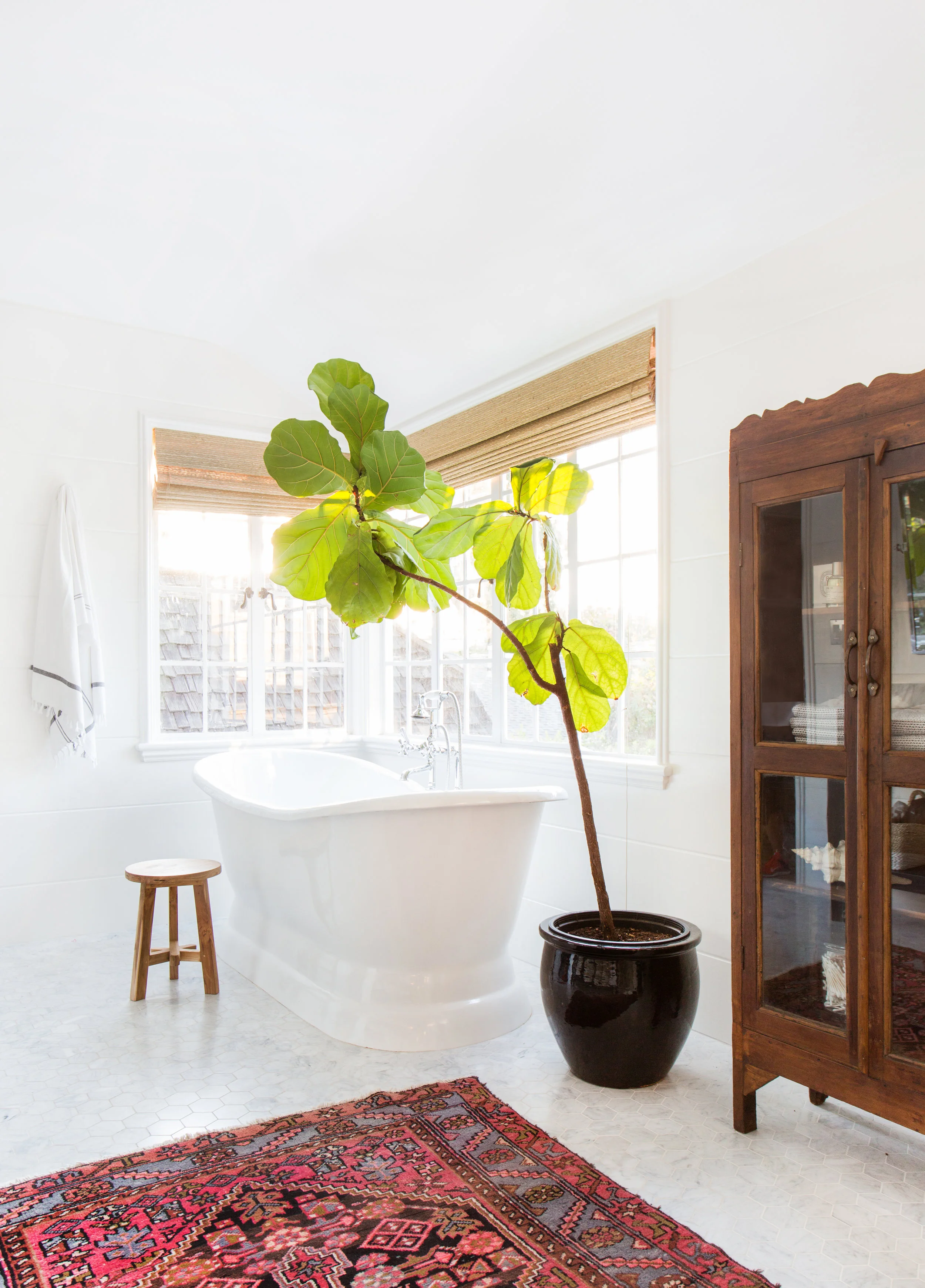 amber interiors 7.jpg