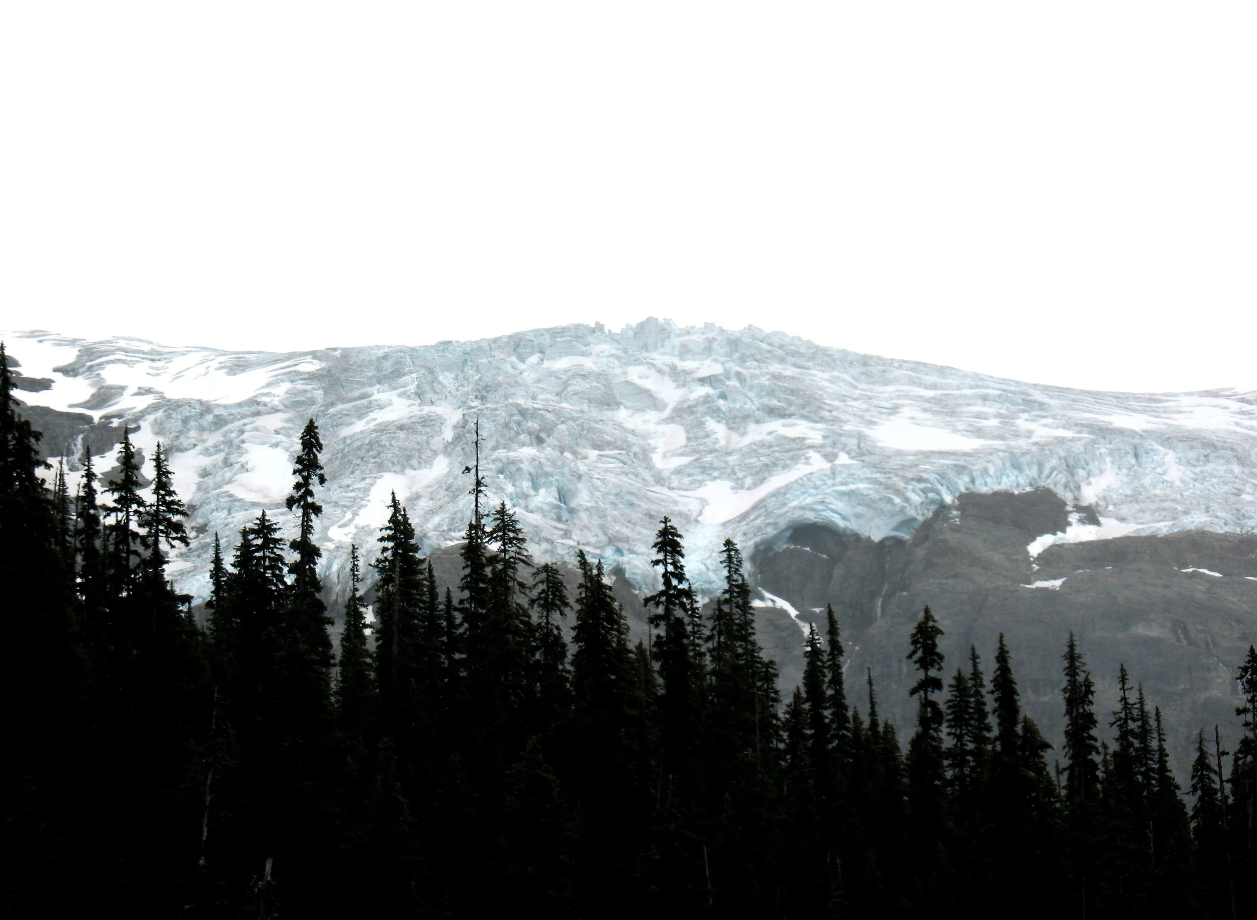 Does tree growth sensitivity to warming trends vary according to treeline form?