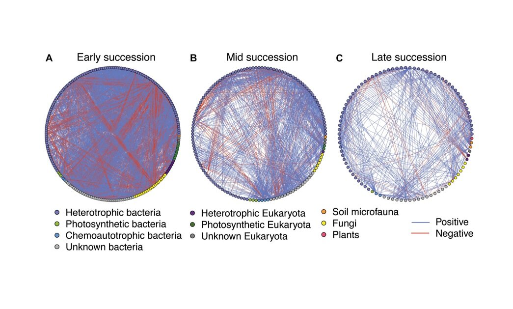 Soil microbial networks shift across a high-elevation successional gradient