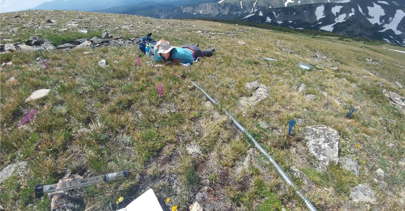 From patch to catchment: A statistical framework to identify and map soil moisture patterns across complex alpine terrain