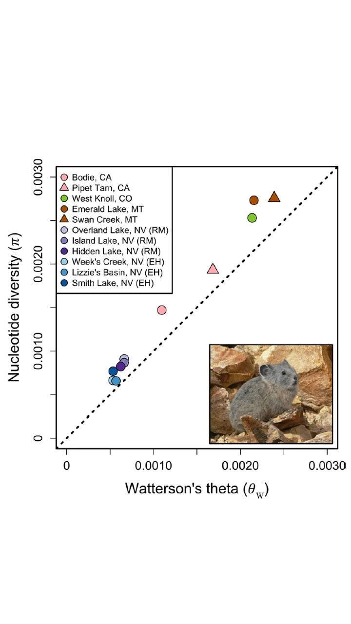 Genomic variation in the American pika: signatures of geographic isolation and implications for conservation