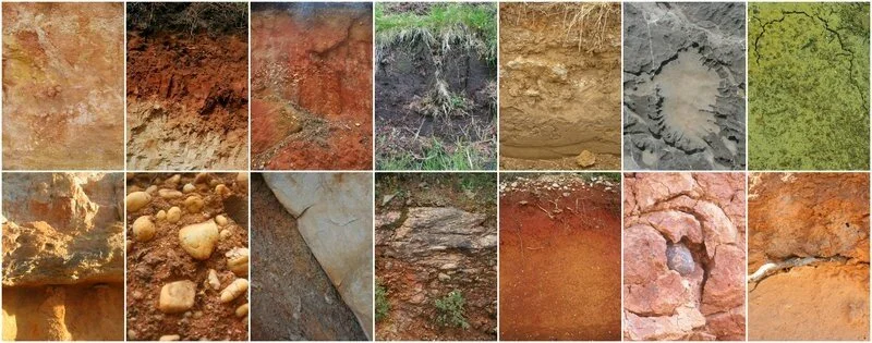 Divergent controls of soil organic carbon between observations and process-based models