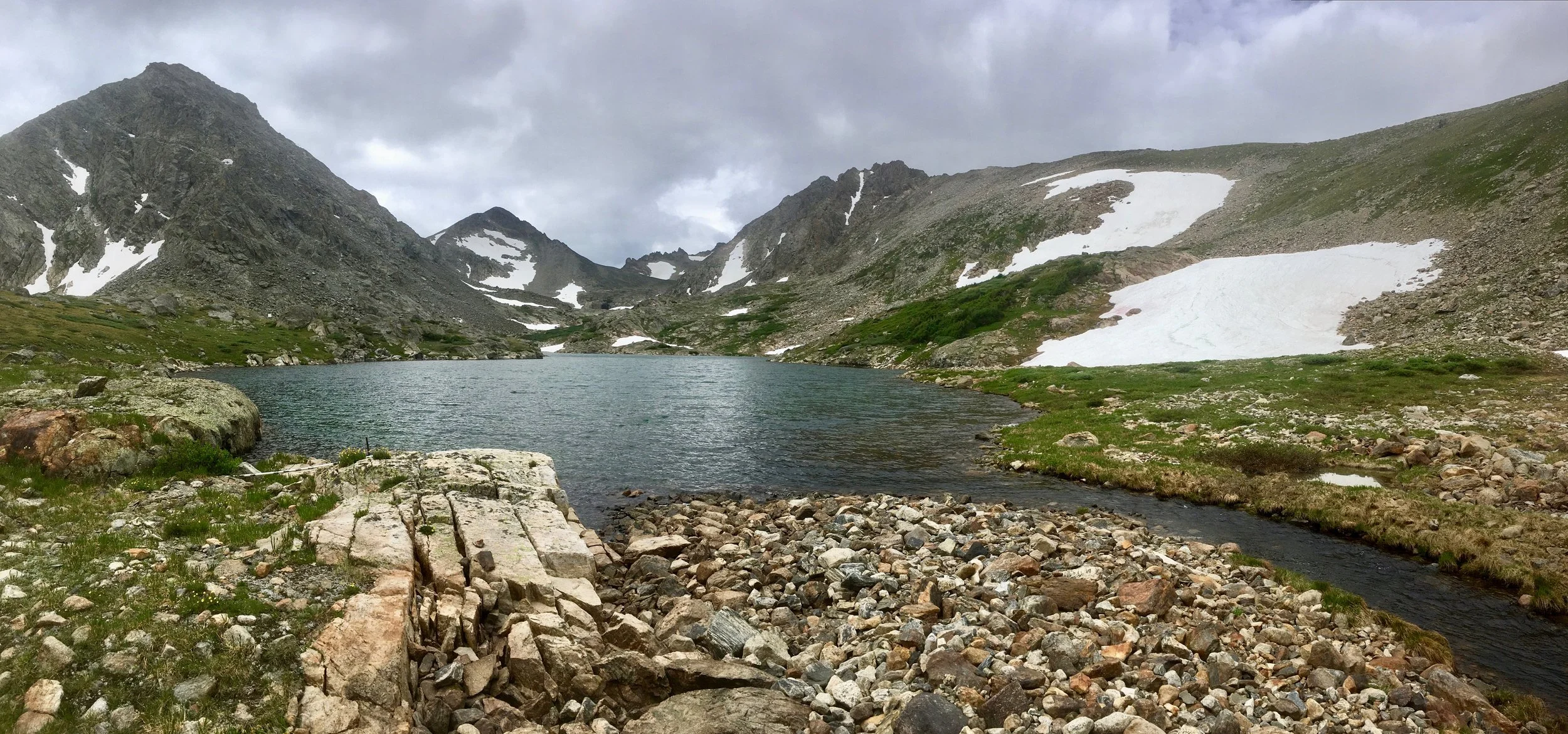 Long-term ecological research and the COVID-19 anthropause: A window to understanding social–ecological disturbance