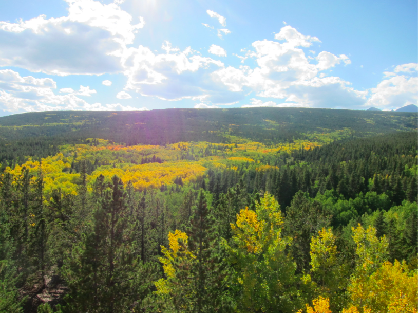 All-NWT Meeting