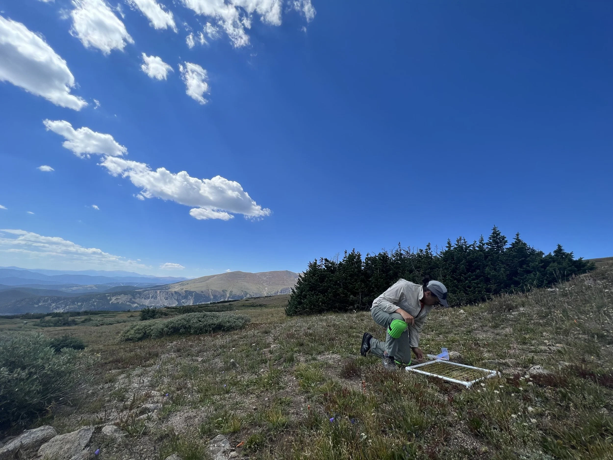 Congrats to Alec Chiono for Receiving a Ford Foundation Fellowship