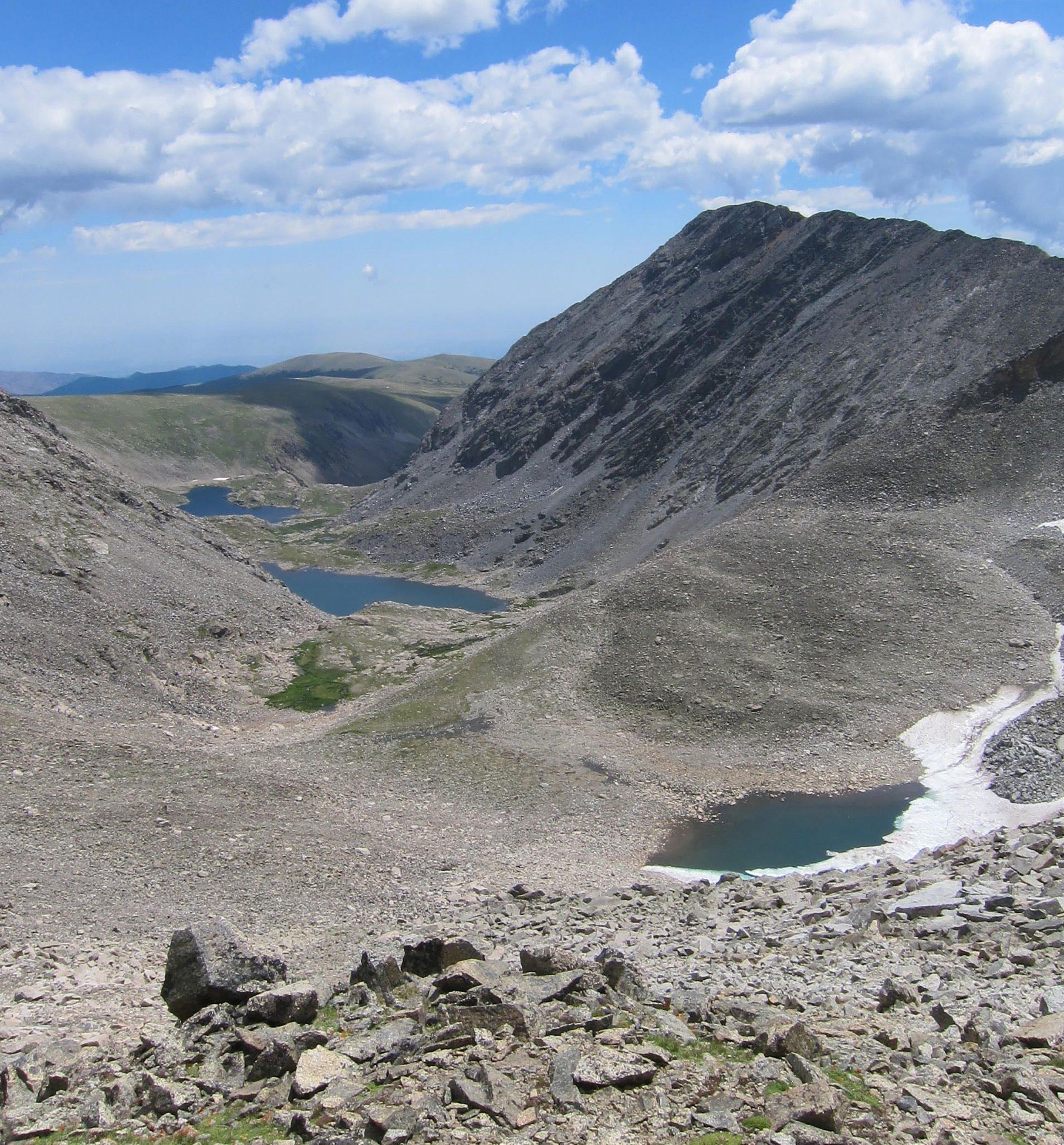 Drivers of bacterial and fungal root endophyte communities: understanding the relative influence of host plant, environment, and space
