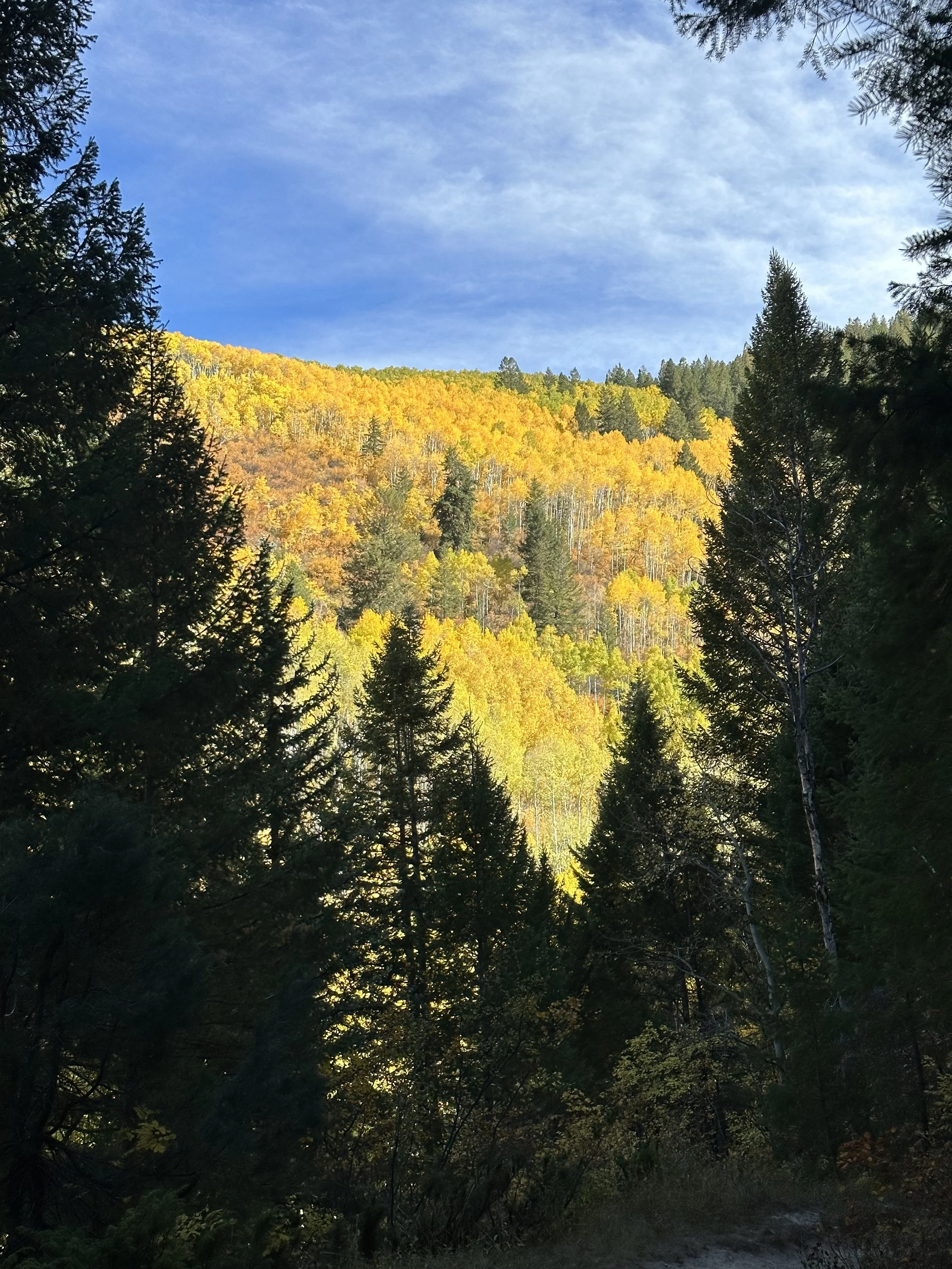 GREEBS at the CU Mountain Research Station