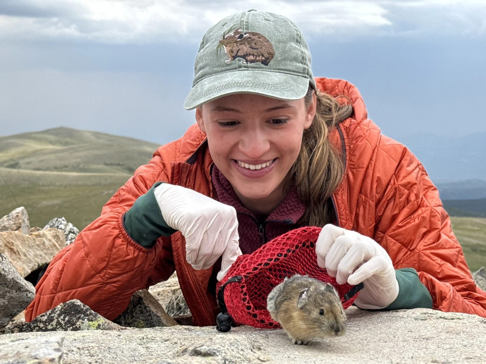 High school student to the rescue!