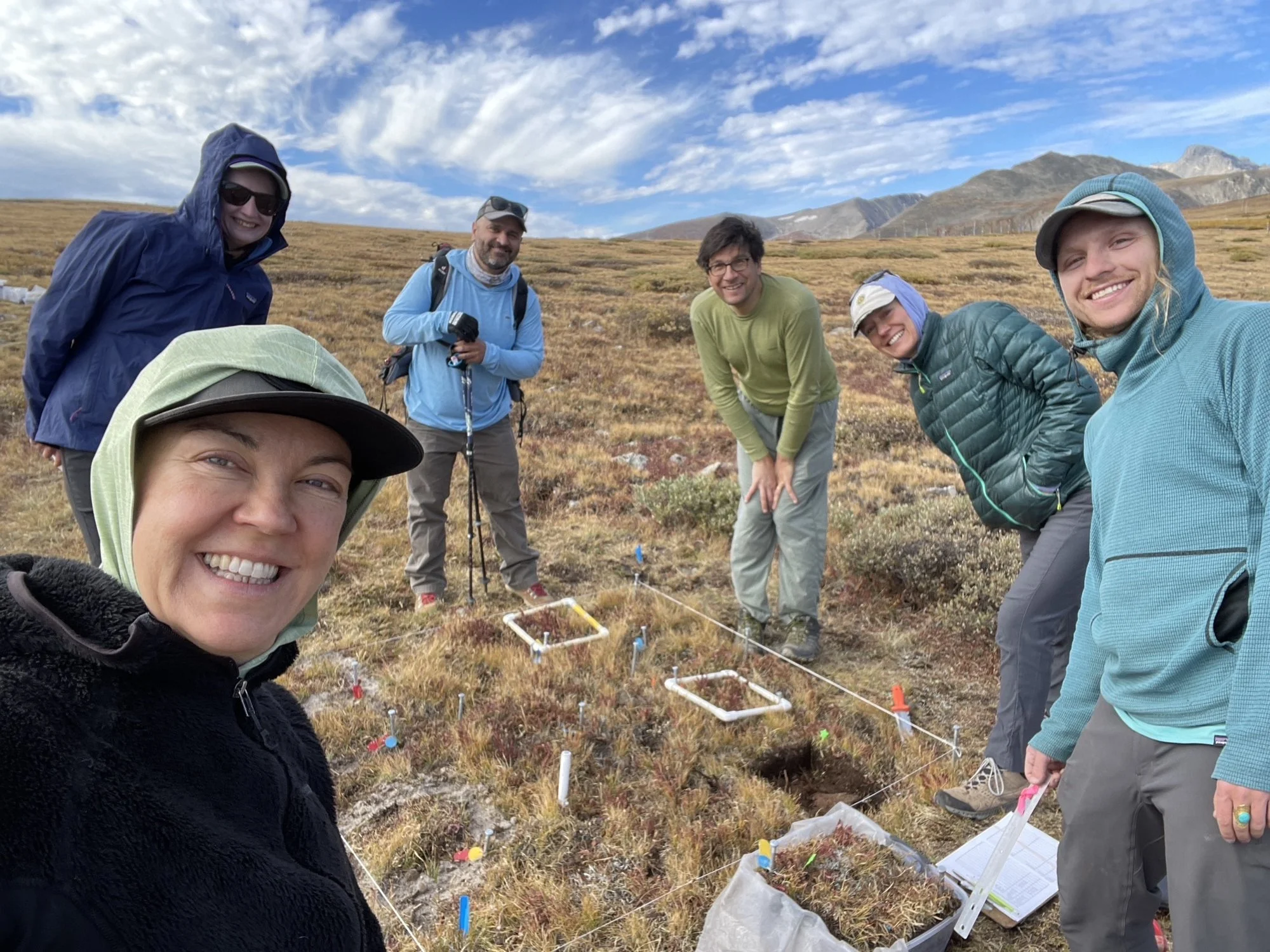 Tundra Warming Experiment Begins! 