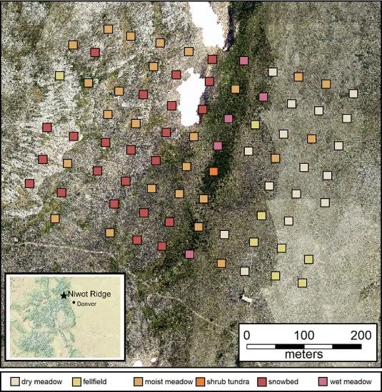 Evaluating the utility of hyperspectral data to monitor local-scale β-Diversity across space and time