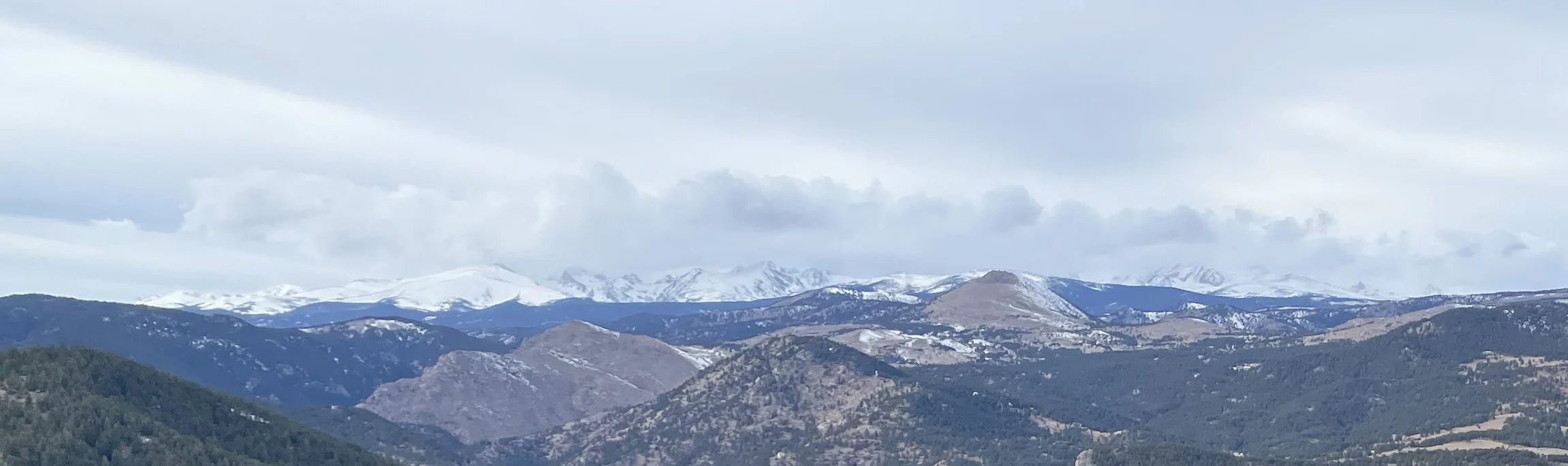 Apply Now! Funding for grad students and postdocs to work on Niwot Ridge