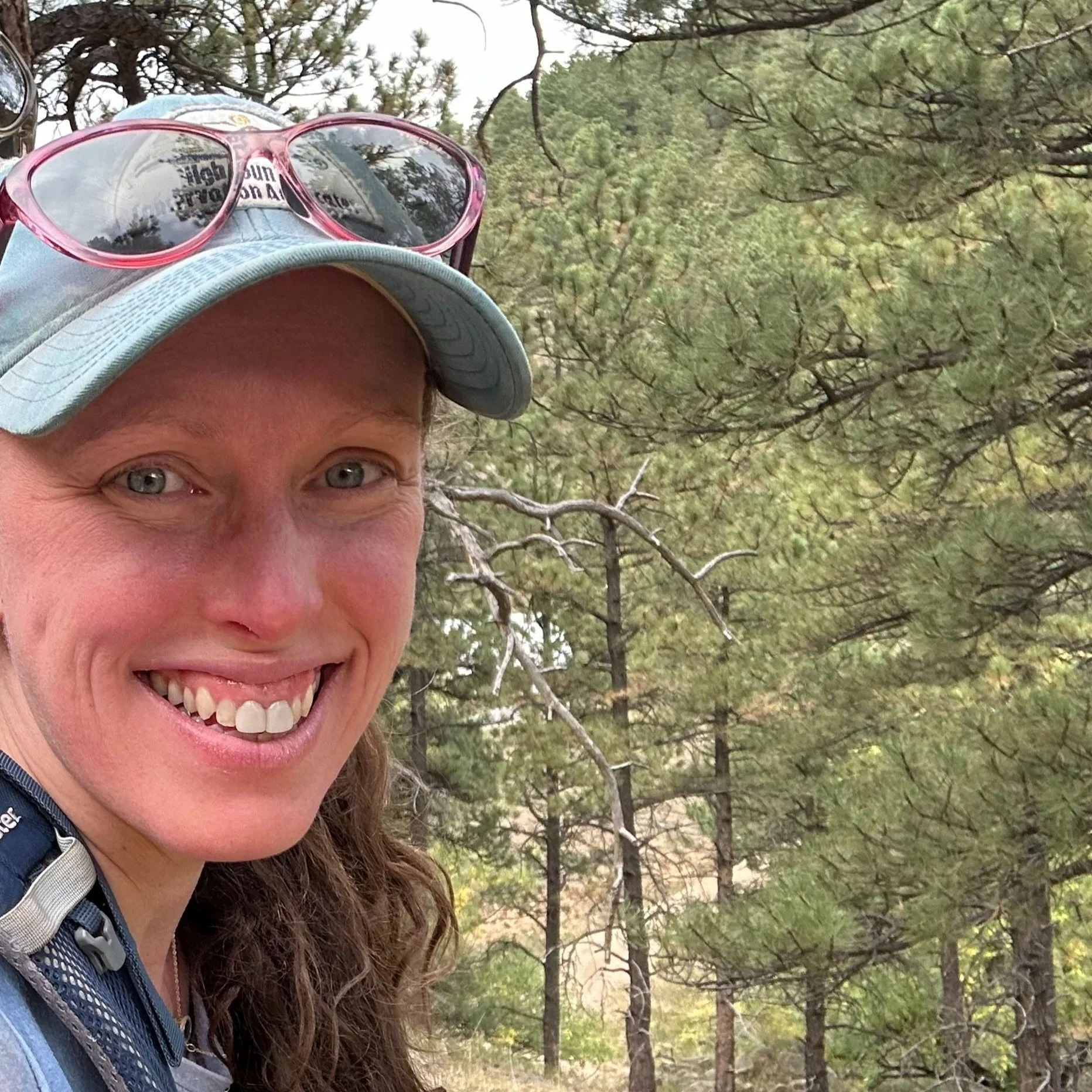 Anne Marie Panetta, PhD