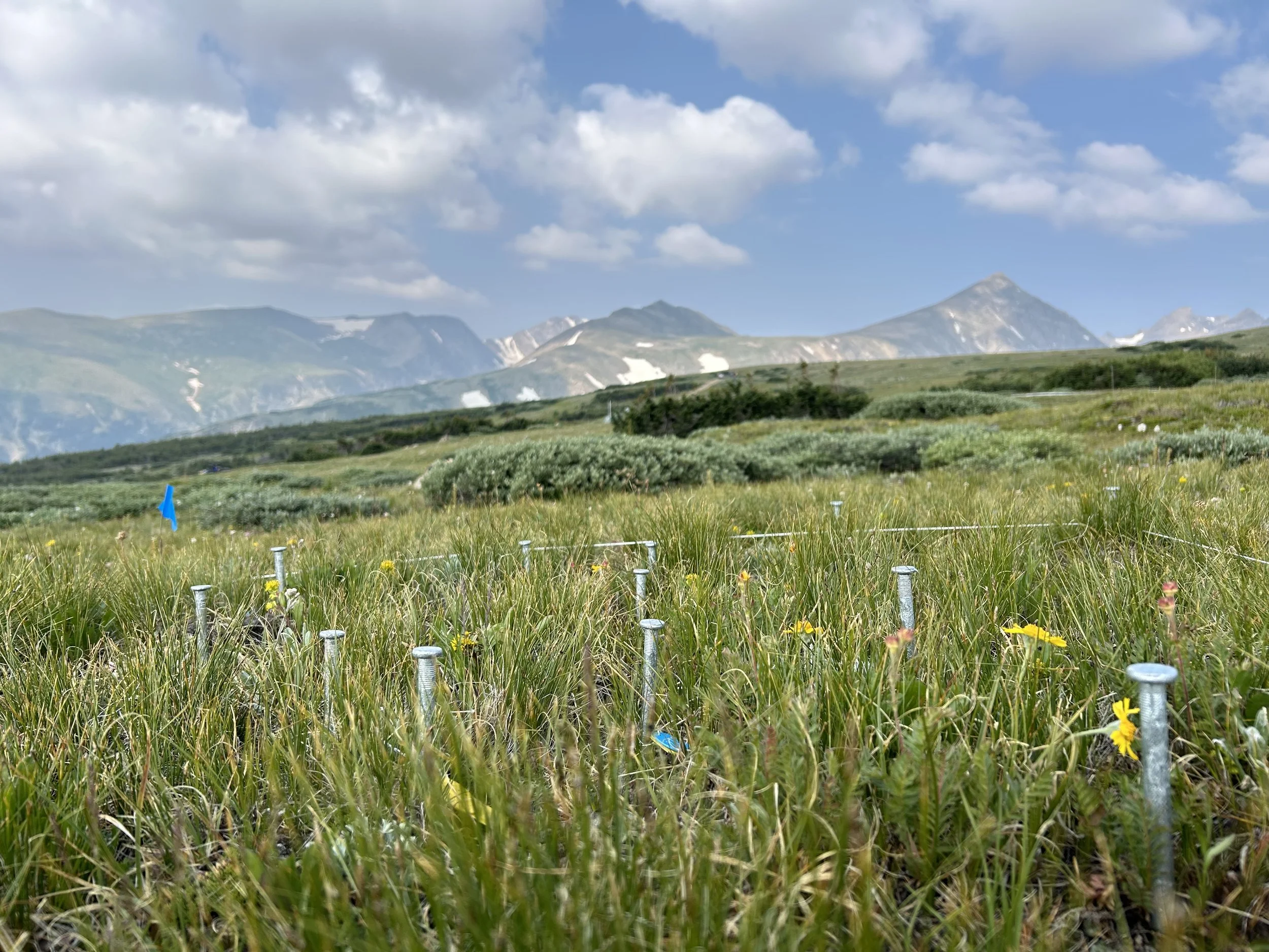 Boulder Reporting Lab publishes opinion piece by PI Nancy Emery on the importance of long-term alpine research.