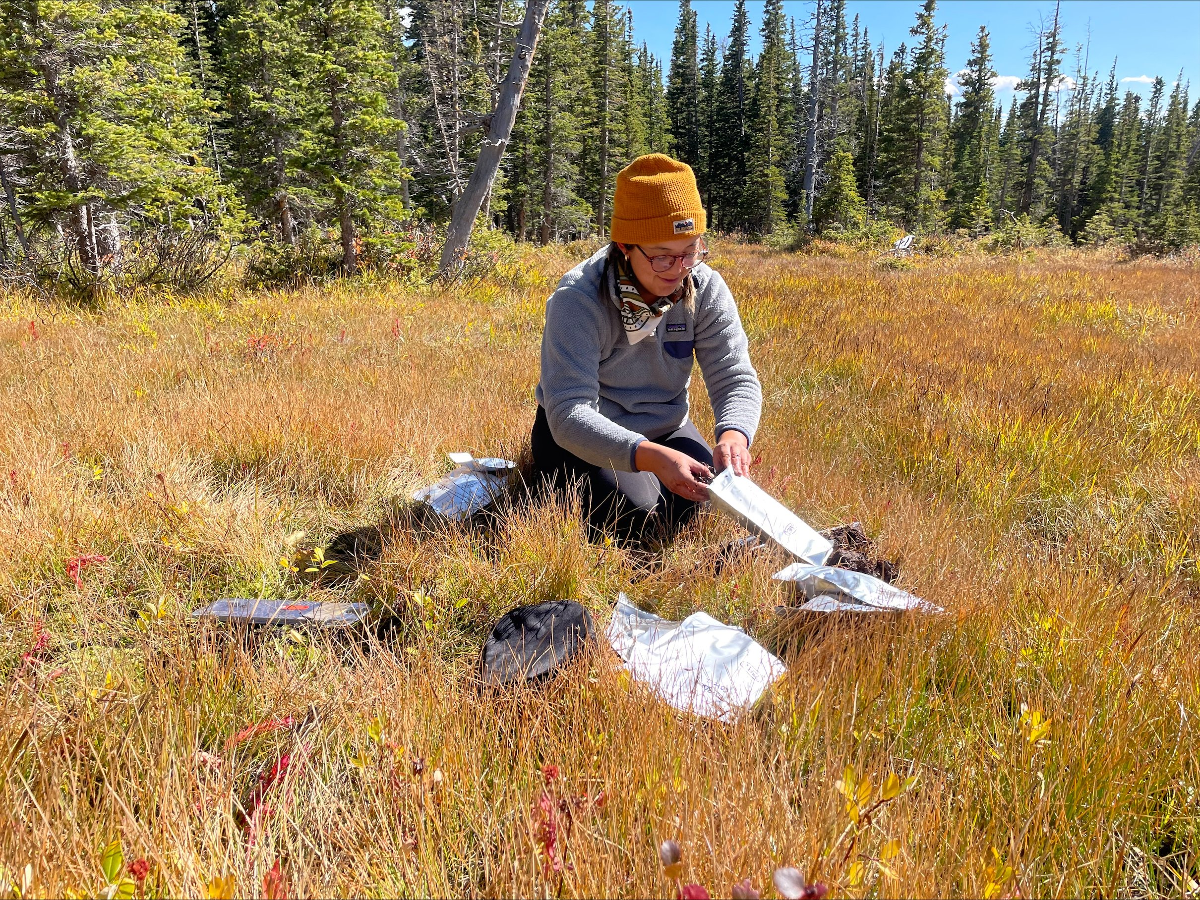 Investigating the potential for redox-active organic matter reduction in high elevation wetlands of the Colorado Rocky Mountains, USA
