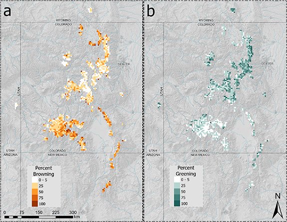 Divergent regional trends in alpine tundra productivity linked to changes in snow-free season length and summer warming