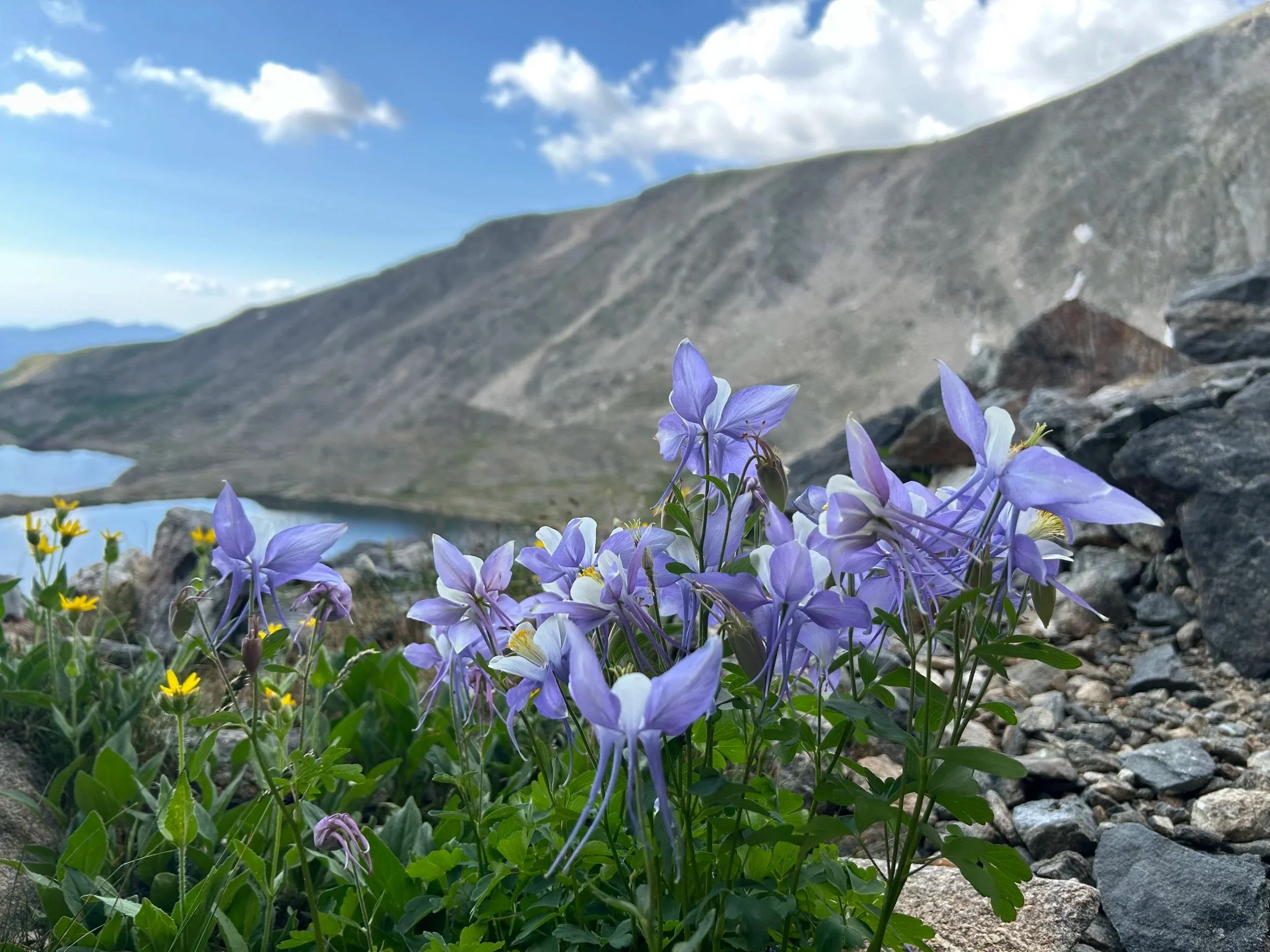 Niwot Ridge LTER All-Hands Meeting