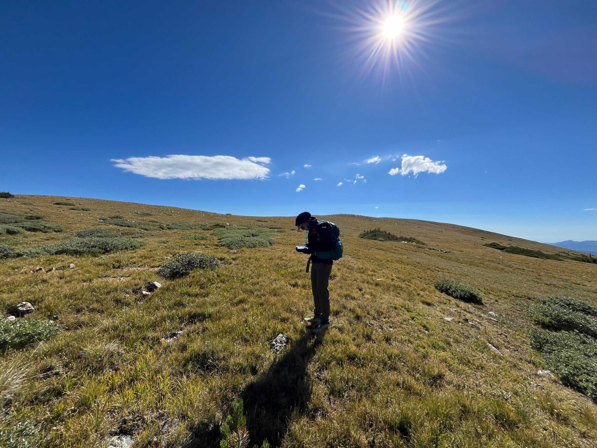Katya Jay on Woody Encroachment at AGU24 