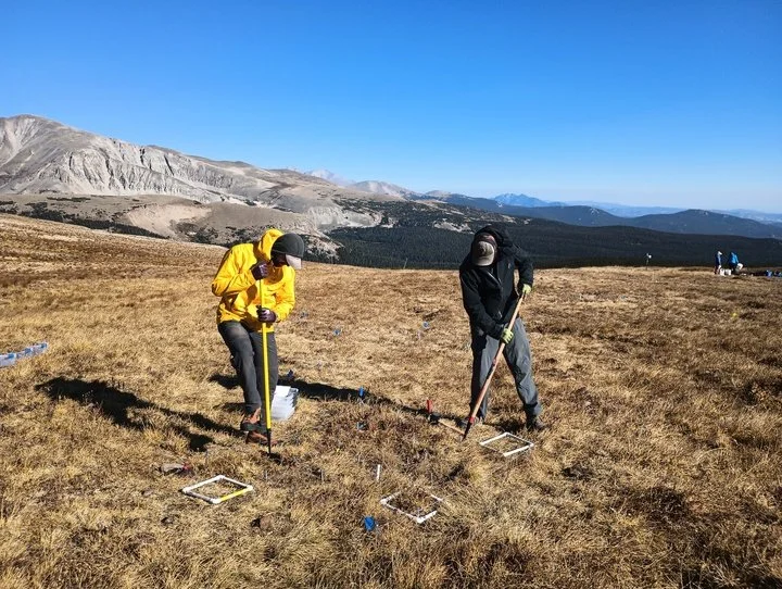 Northern Colorado public radio station covers alpine warming experiment on Niwot Ridge.