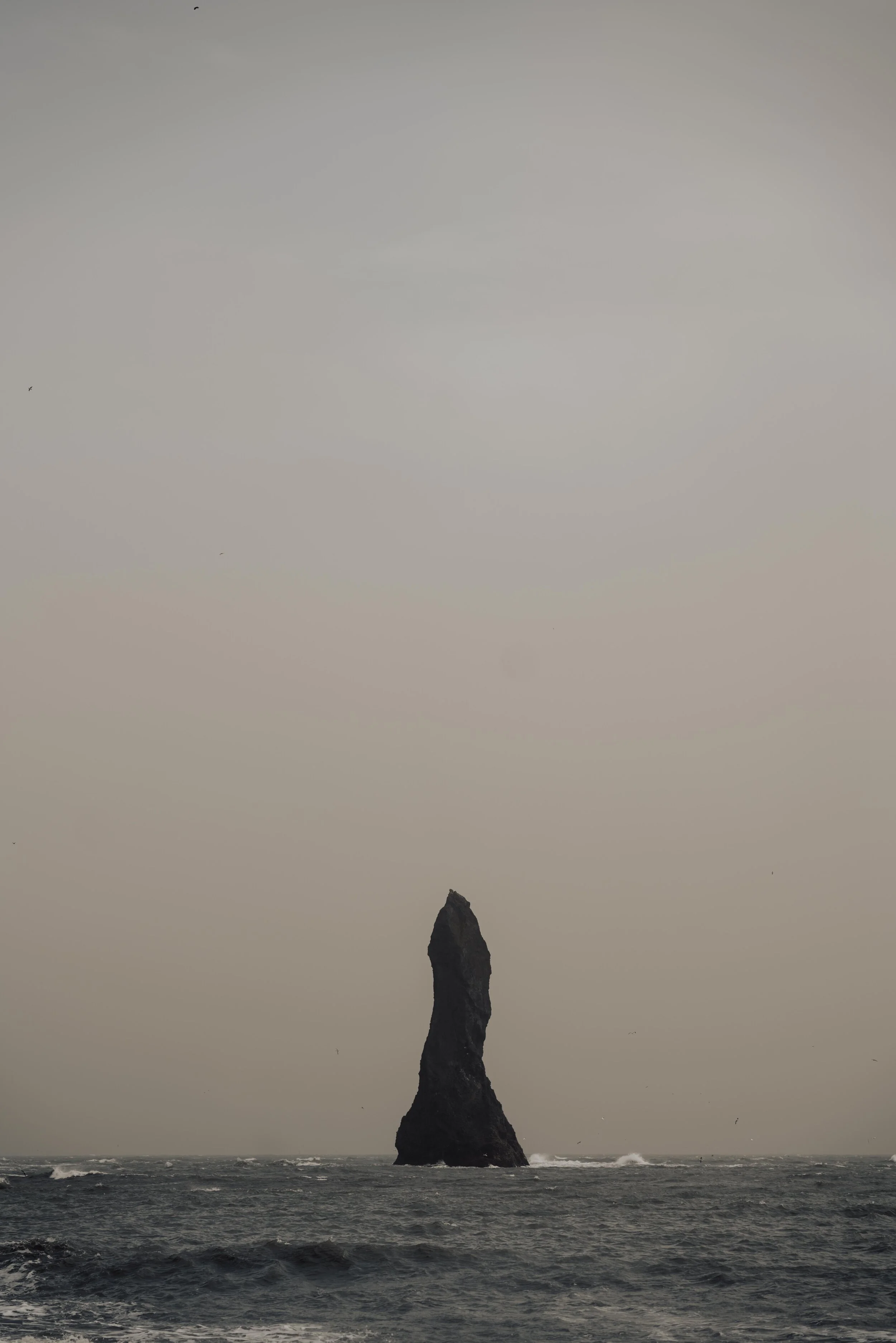 DSC00233.jpg