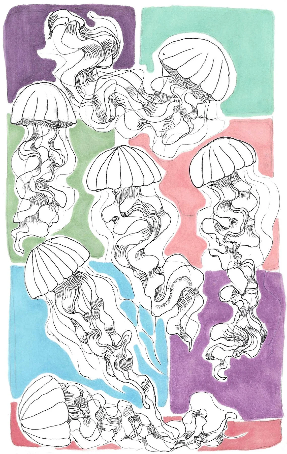 Colorful Jellyfish.jpg