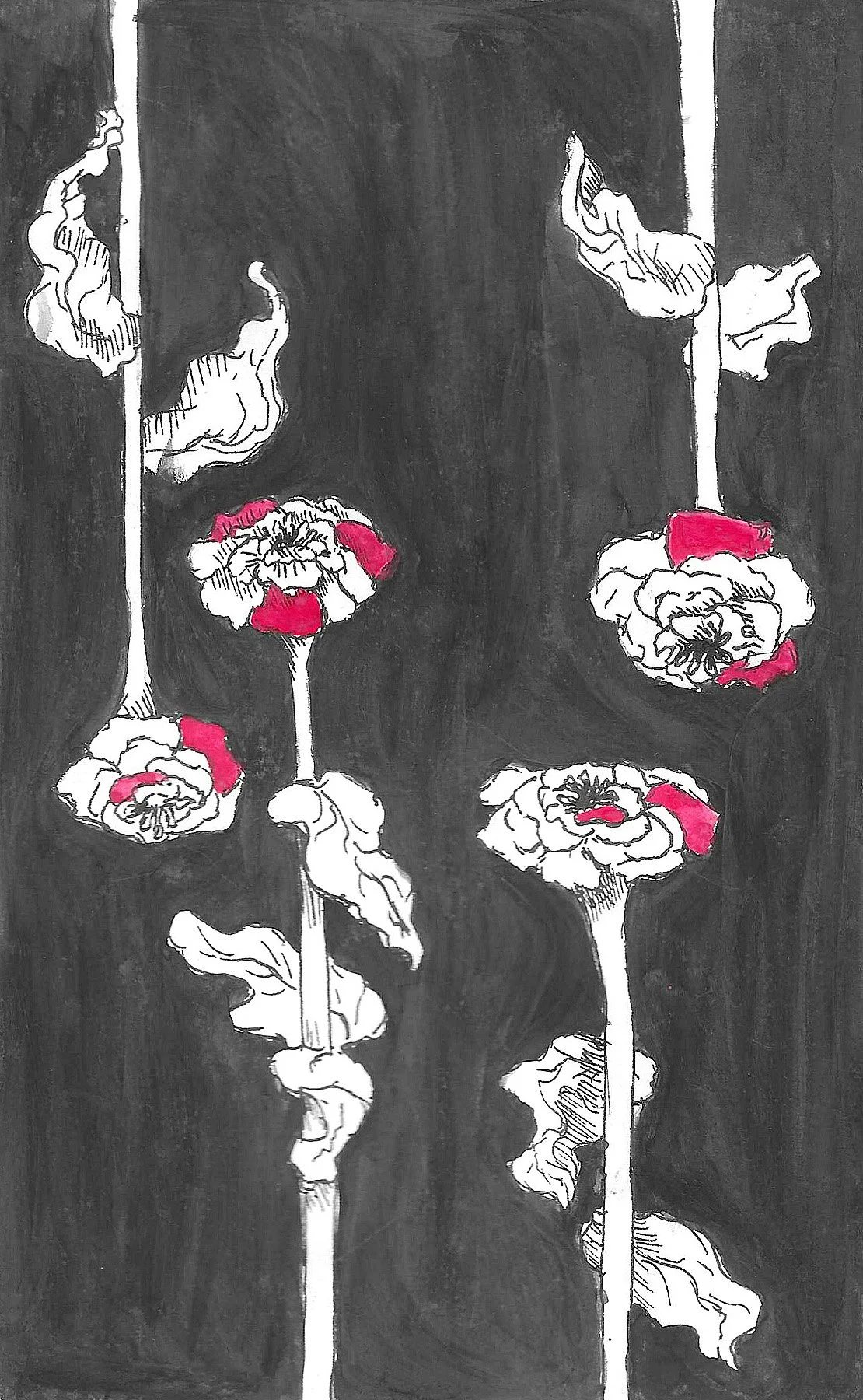 Flowers in Black.jpg